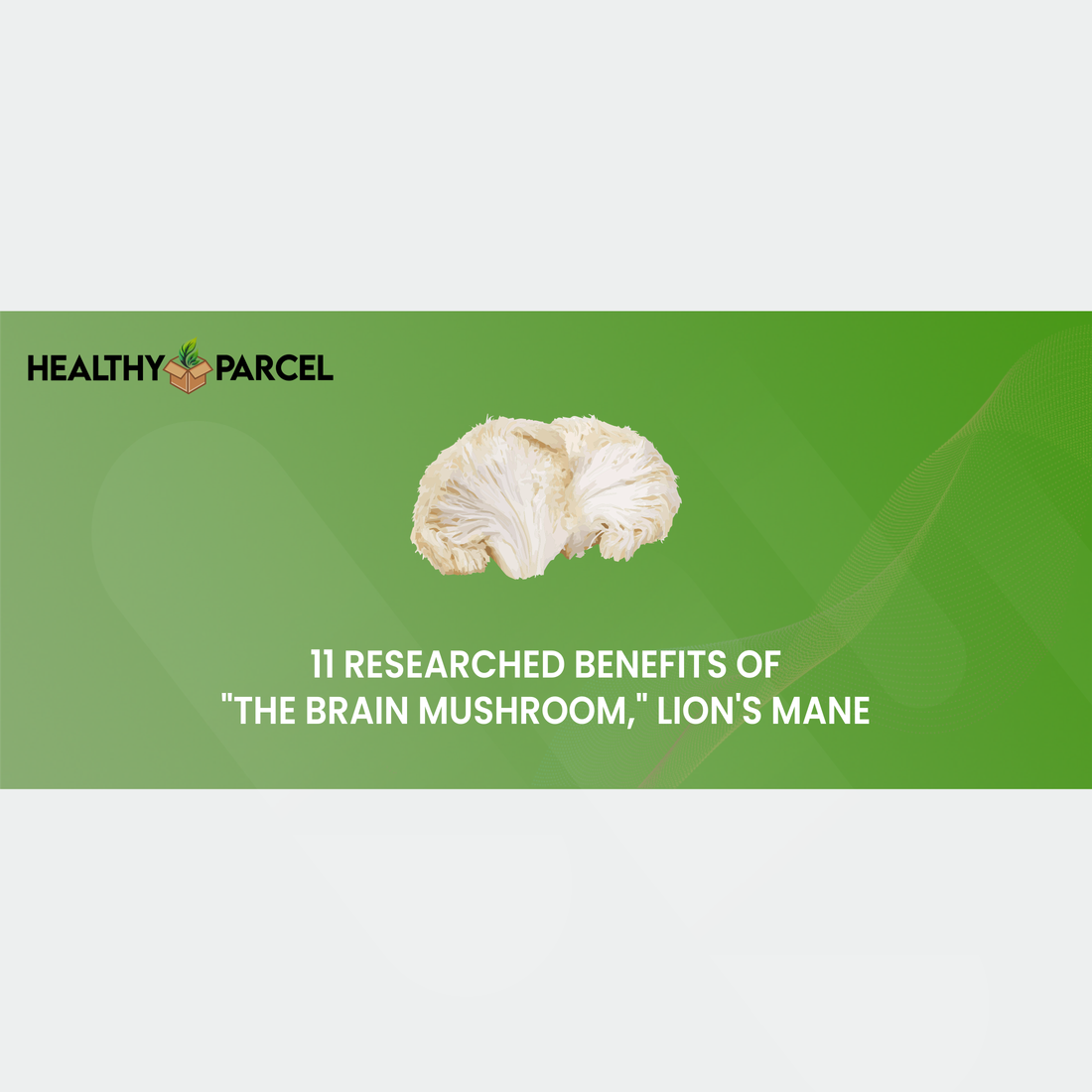 11 Researched Benefits of "The Brain Mushroom," Lion's Mane