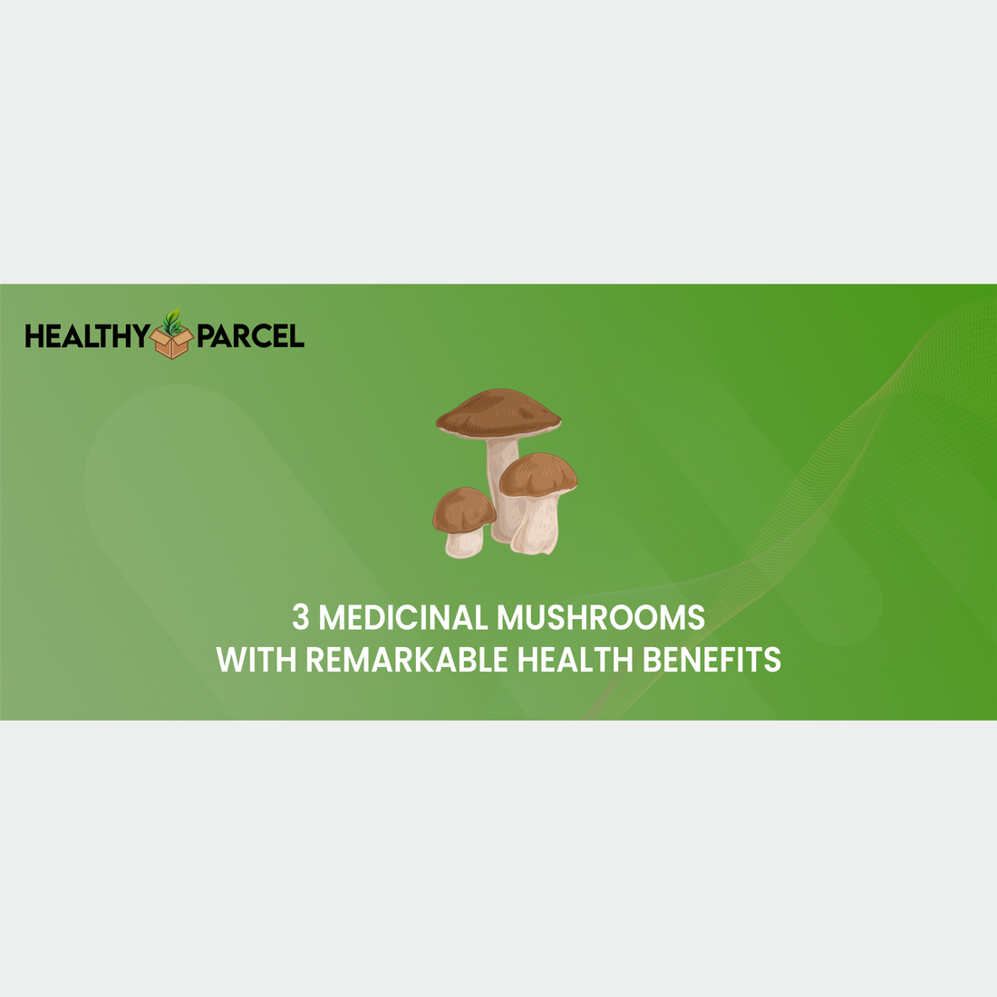 3 Medicinal Mushrooms with Remarkable Health Benefits