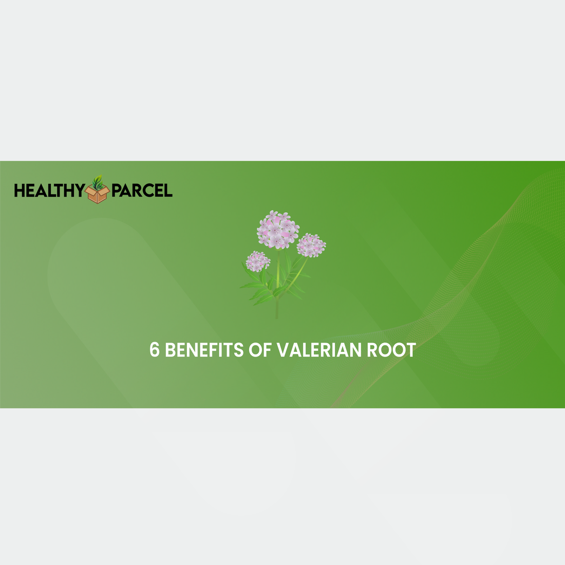 Benefits of Valerian Root