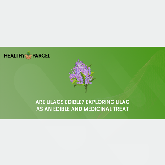 Are Lilacs Edible Exploring Lilac as an Edible and Medicinal Treat
