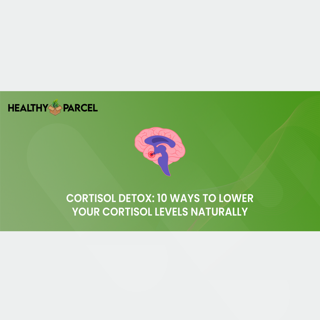 Cortisol Detox 10 Ways To Lower Your Cortisol Levels Naturally