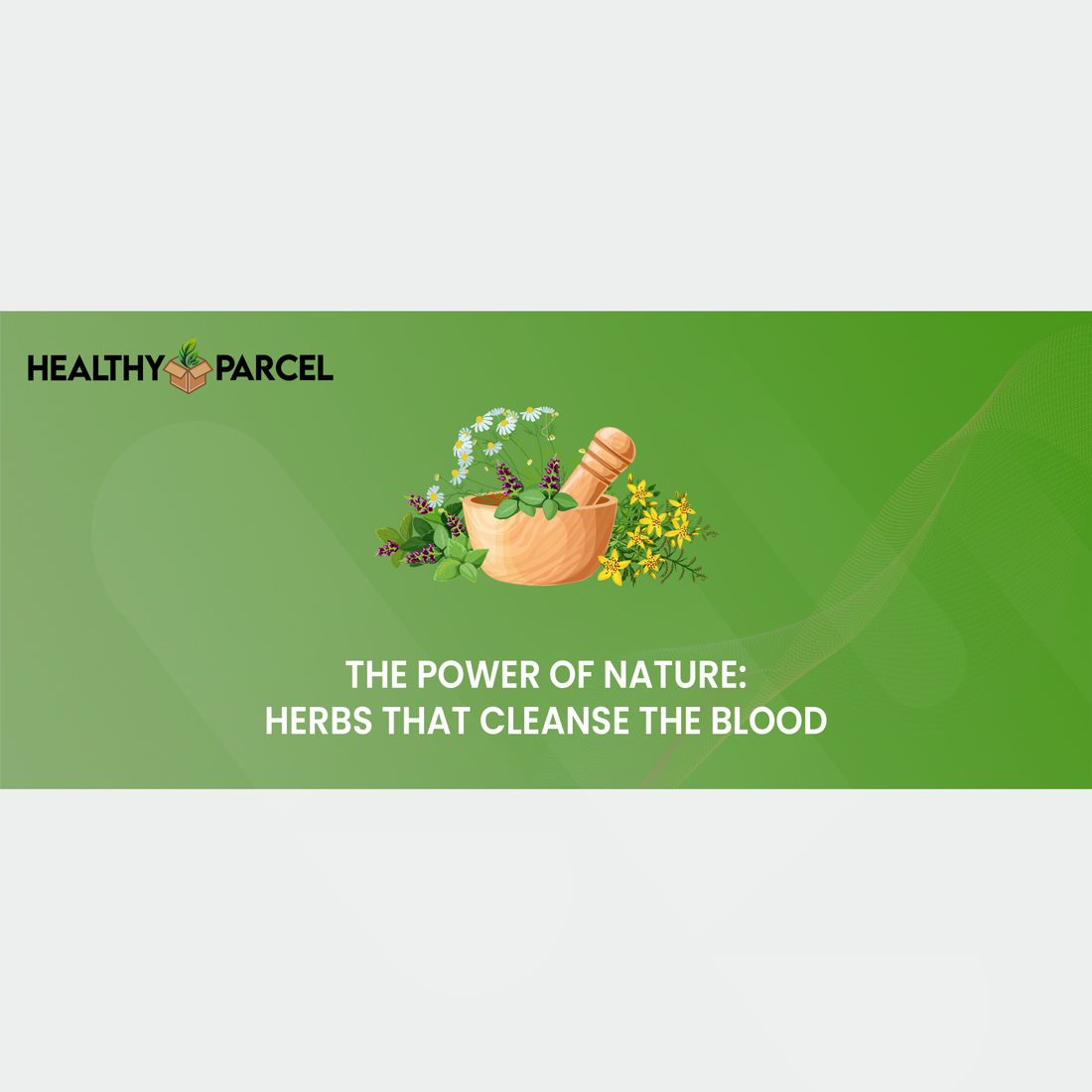 The Power of Nature Herbs That Cleanse the Blood