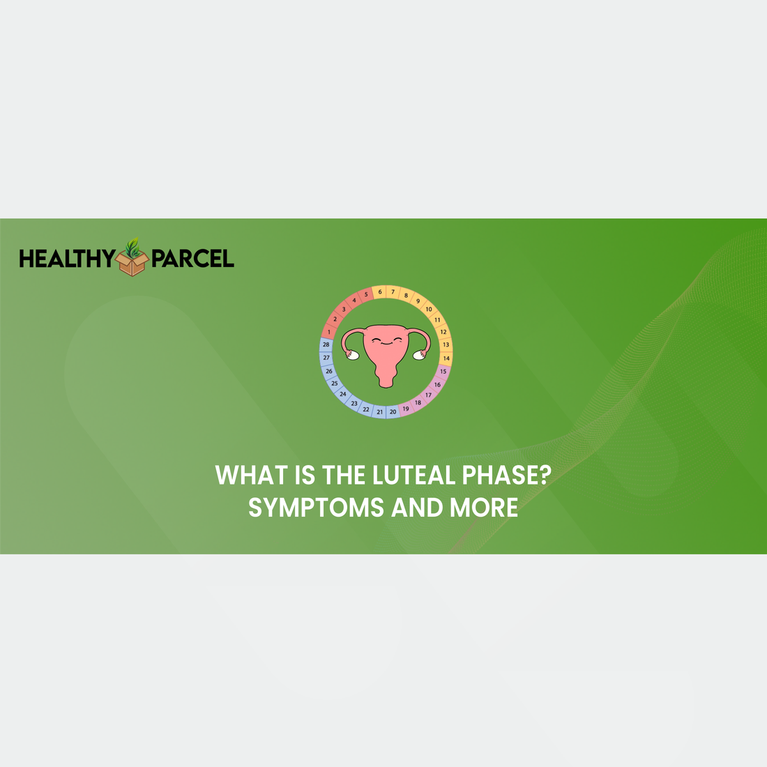 What Is the Luteal Phase