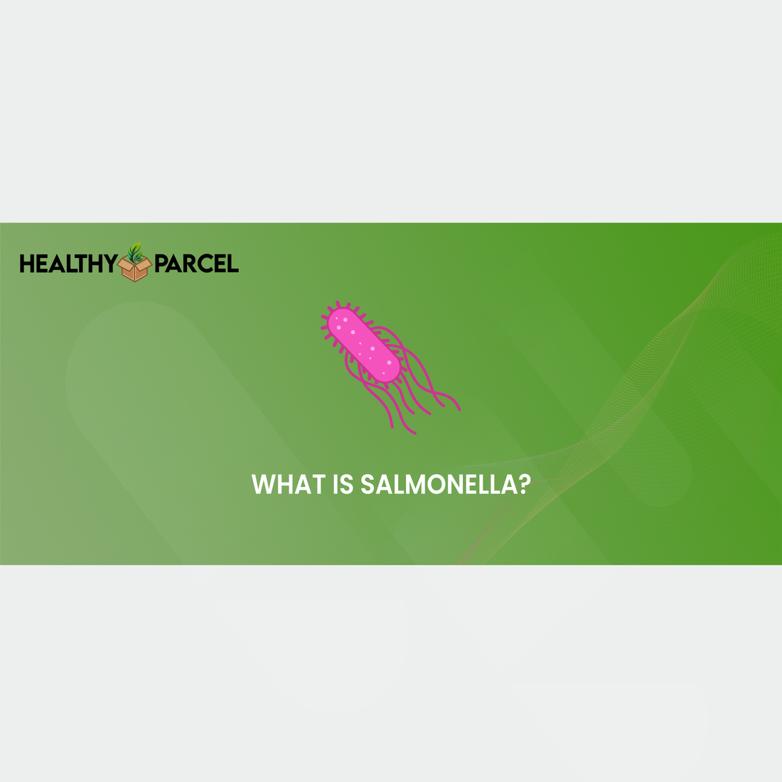 What is Salmonella